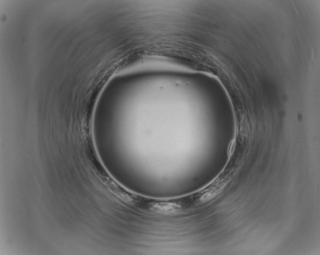 X0000070180557200606021035