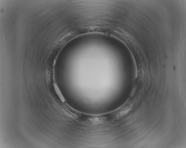 X0000070180558200606021035