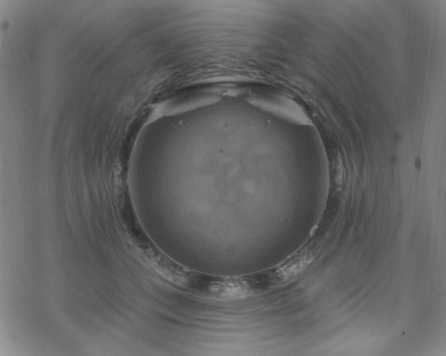 X0000070180559200606021035