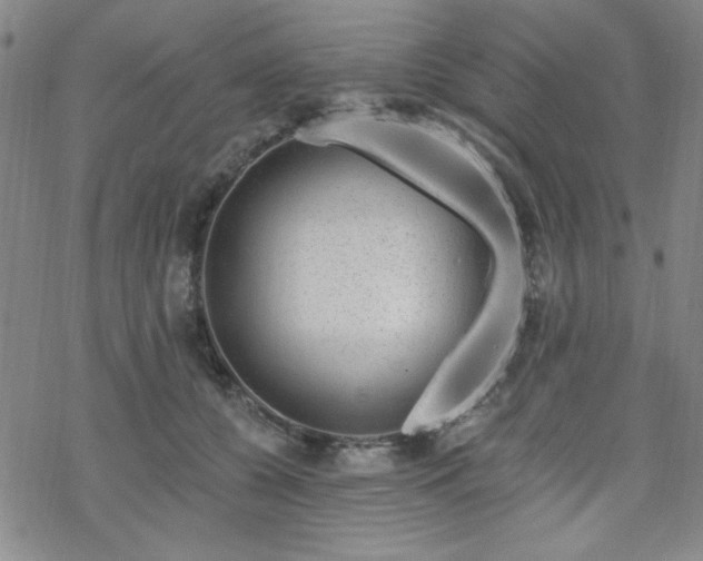 X0000070180560200606021035