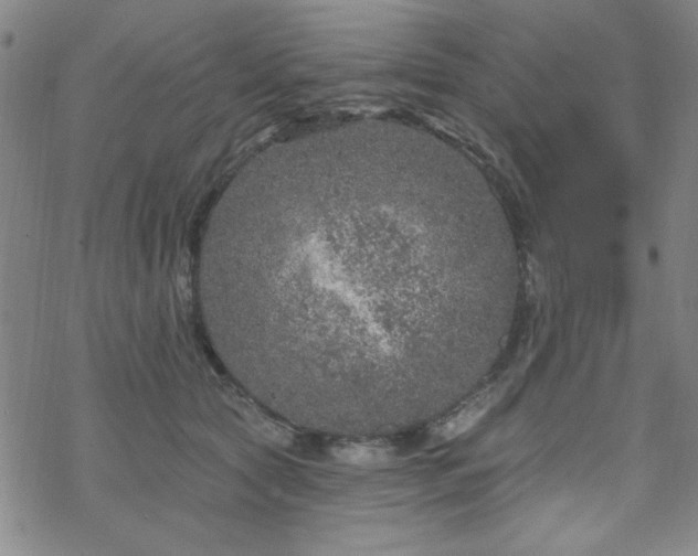 X0000070180561200606021035