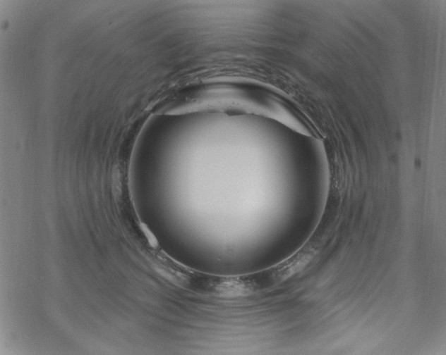 X0000070180562200606021035