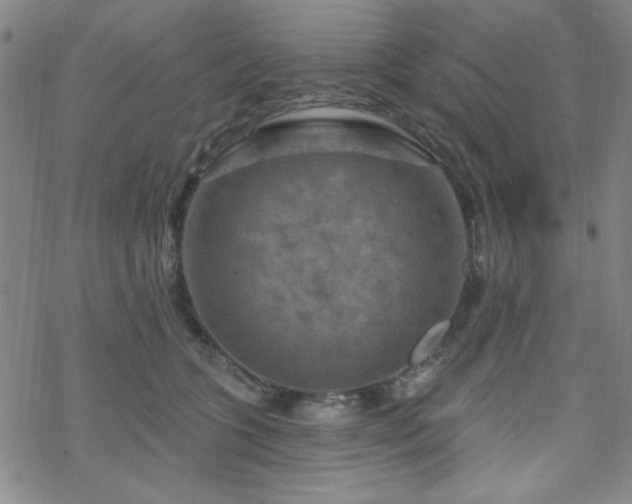 X0000070180563200606021035