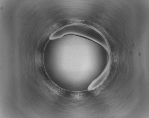 X0000070180564200606021035