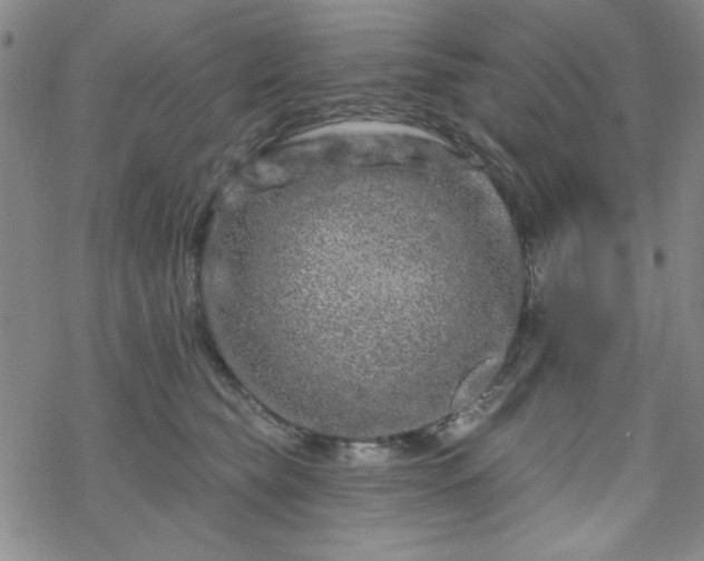 X0000070180565200606021035