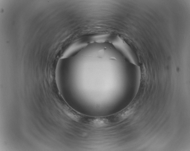 X0000070180566200606021035