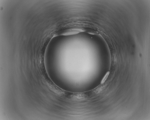 X0000070180567200606021035