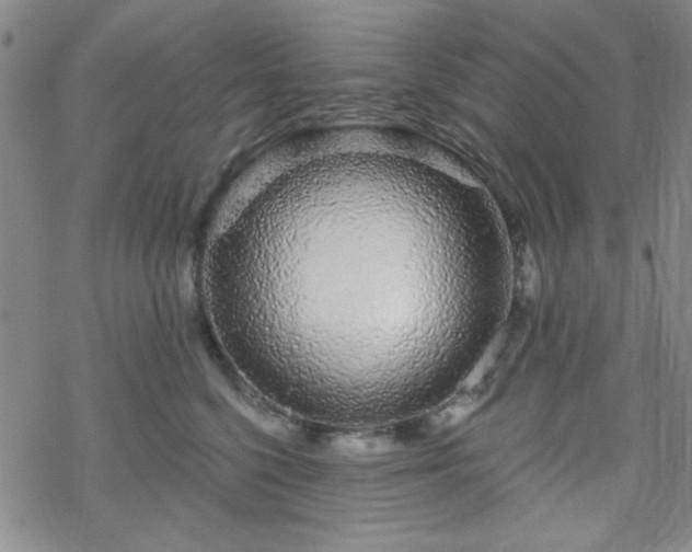 X0000070180568200606021035