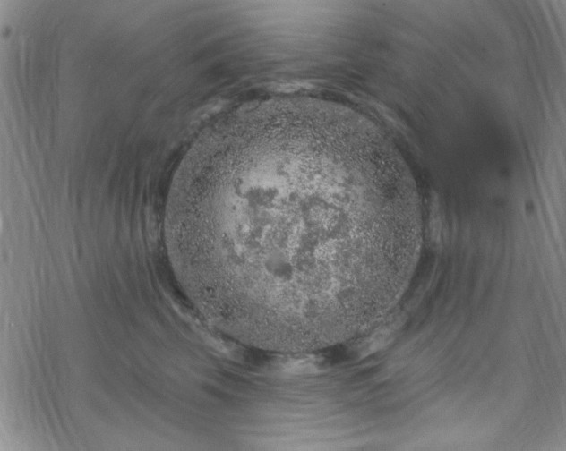 X0000070180569200606021035