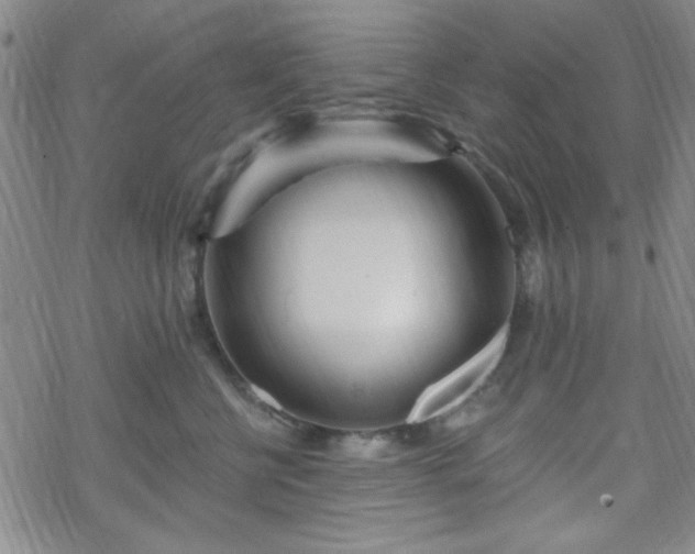 X0000070180570200606021035