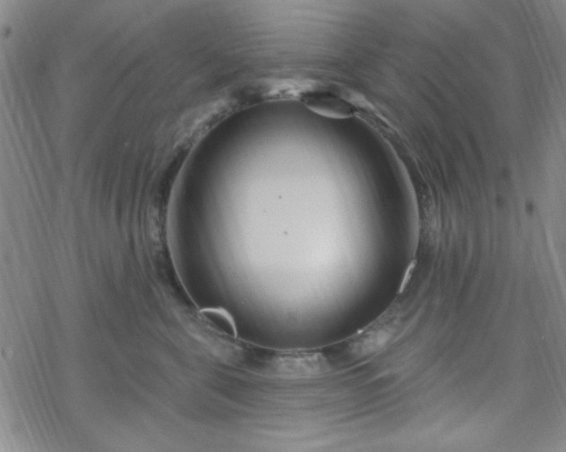 X0000070180571200606021035