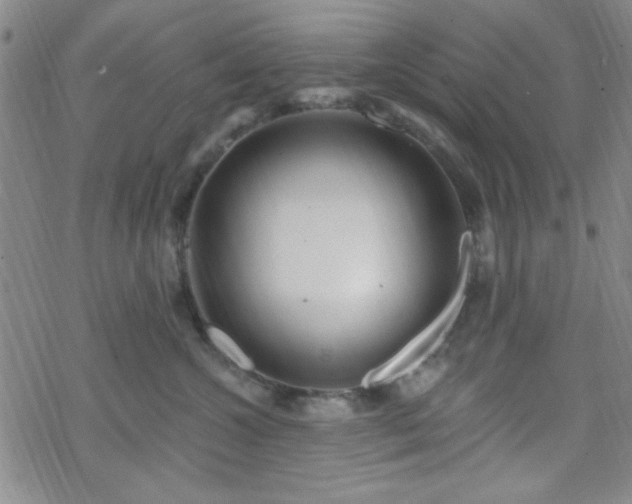 X0000070180572200606021035