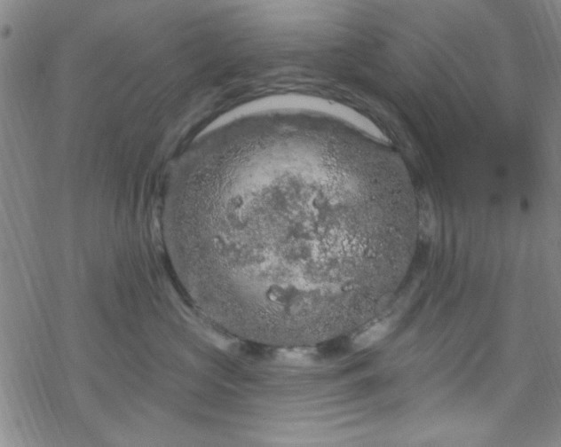 X0000070180573200606021035