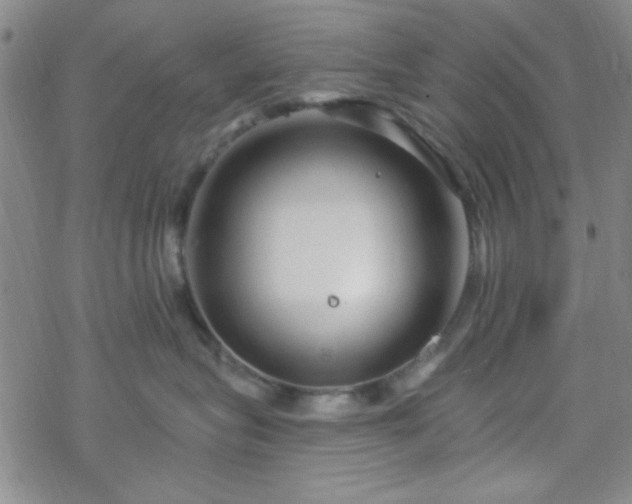 X0000070180575200606021035