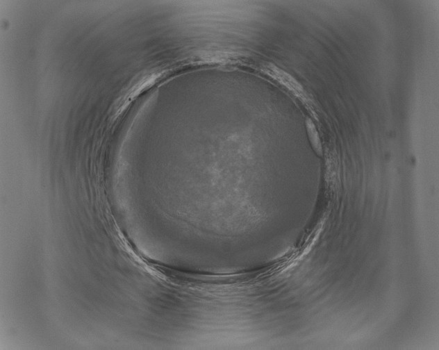 X0000070180577200606021035