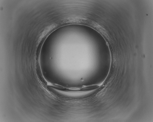 X0000070180578200606021035