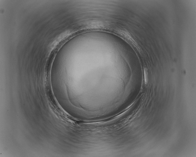 X0000070180579200606021034