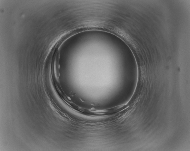 X0000070180580200606021034