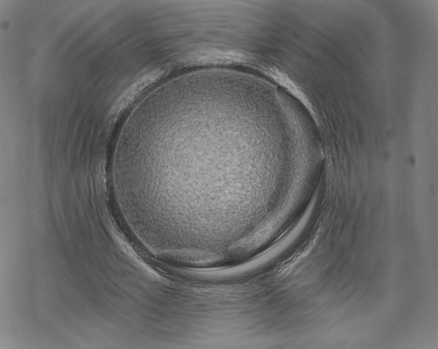 X0000070180581200606021034