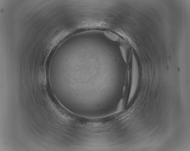 X0000070180582200606021034