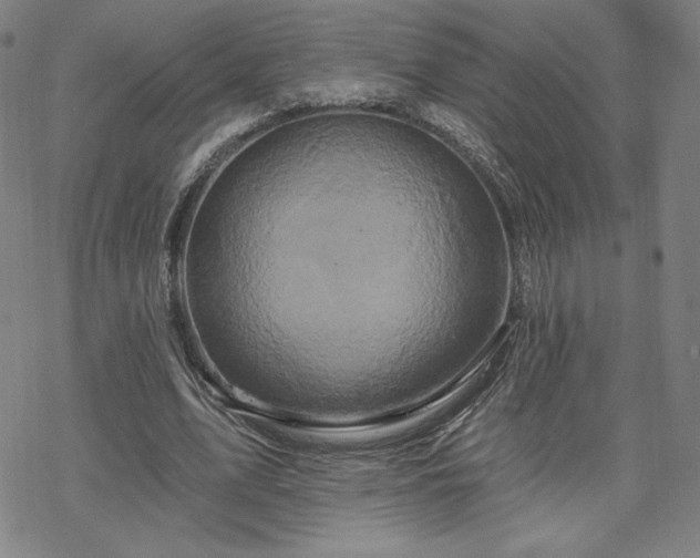 X0000070180583200606021034