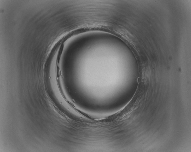 X0000070180584200606021034