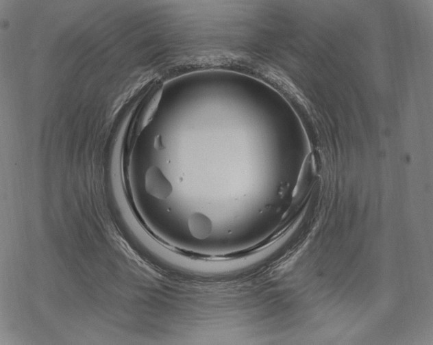 X0000070180585200606021034