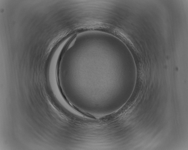 X0000070180586200606021034