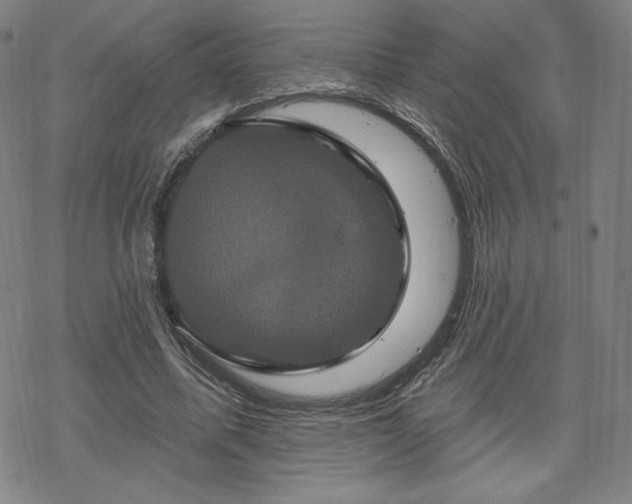 X0000070180587200606021034