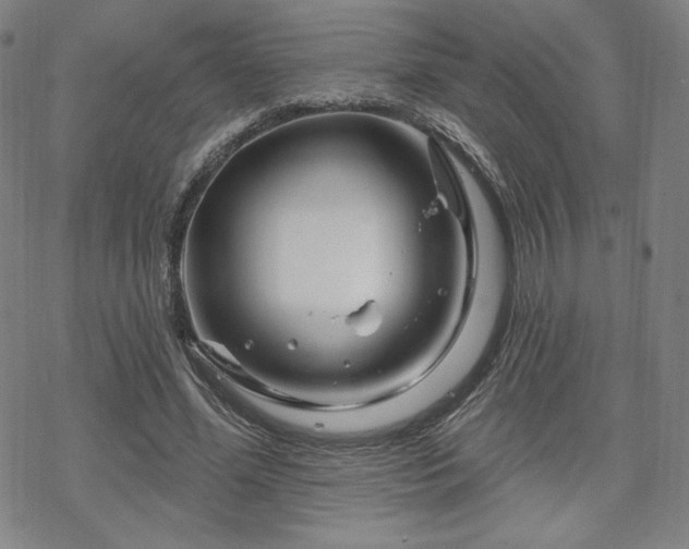 X0000070180588200606021034