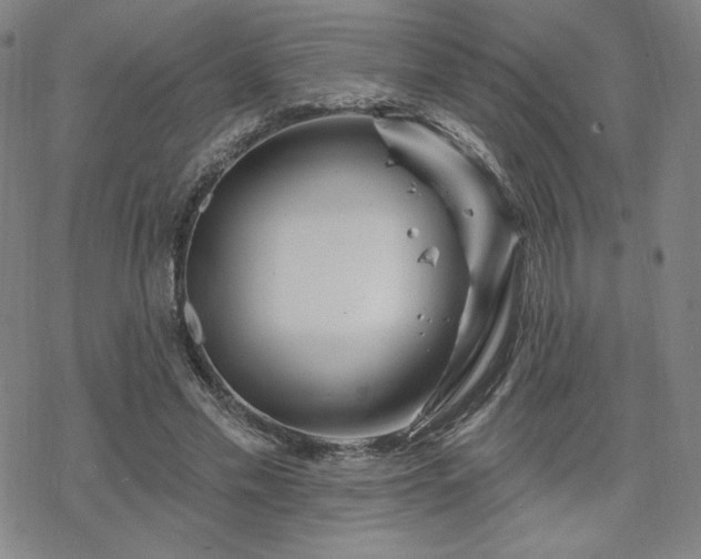 X0000070180589200606021034