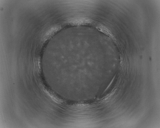 X0000070180590200606021034