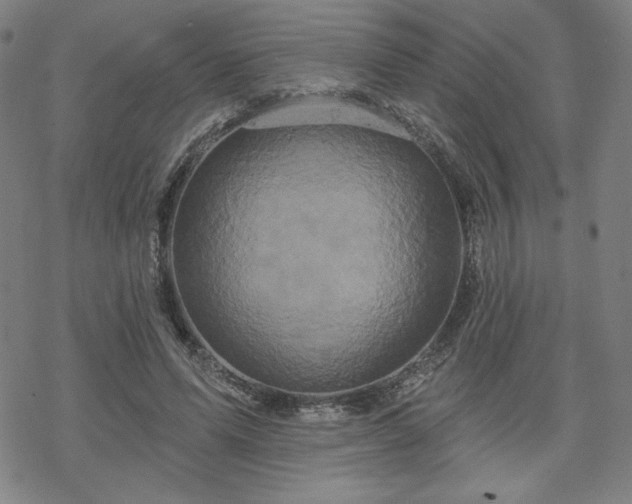 X0000070180591200606021034