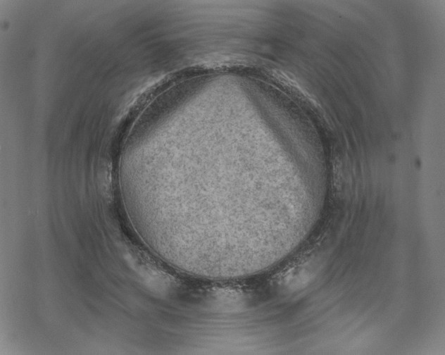 X0000070180592200606021034