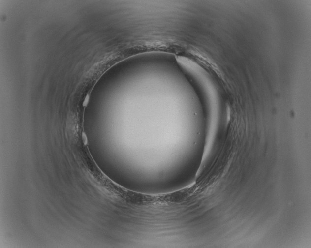 X0000070180593200606021034