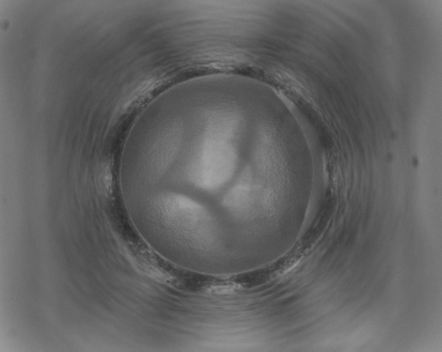 X0000070180595200606021034