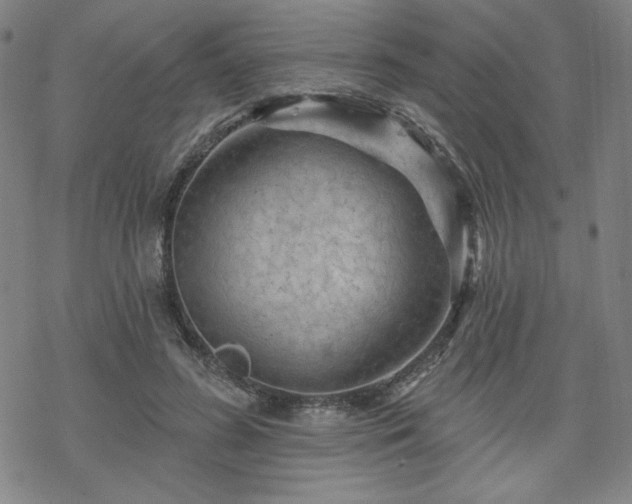 X0000070180596200606021034