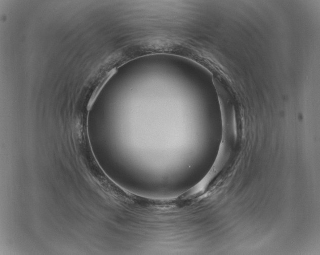 X0000070180597200606021034