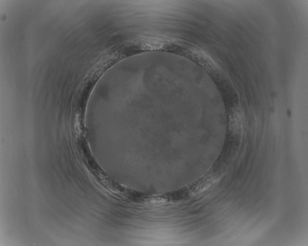 X0000070180598200606021034