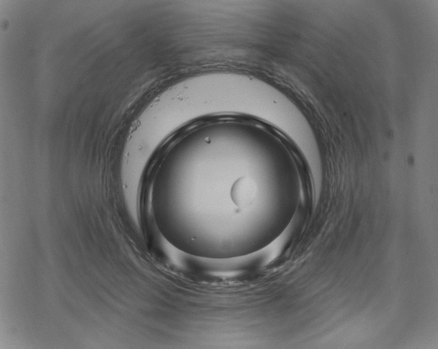 X0000070180599200606021034