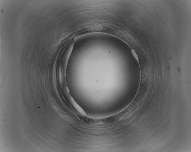 X0000070180600200606021034