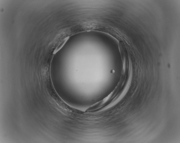 X0000070180601200606021034