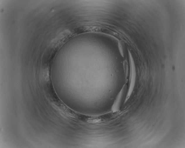 X0000070180602200606021034