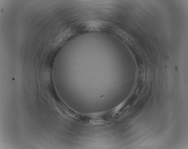 X0000070180603200606021034