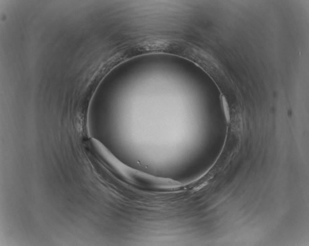 X0000070180604200606021034