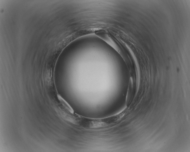 X0000070180605200606021034