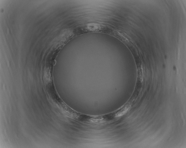 X0000070180606200606021034