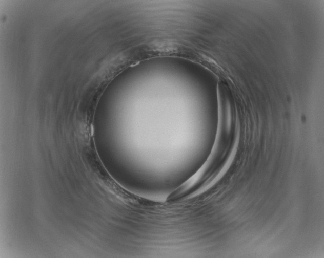 X0000070180609200606021034