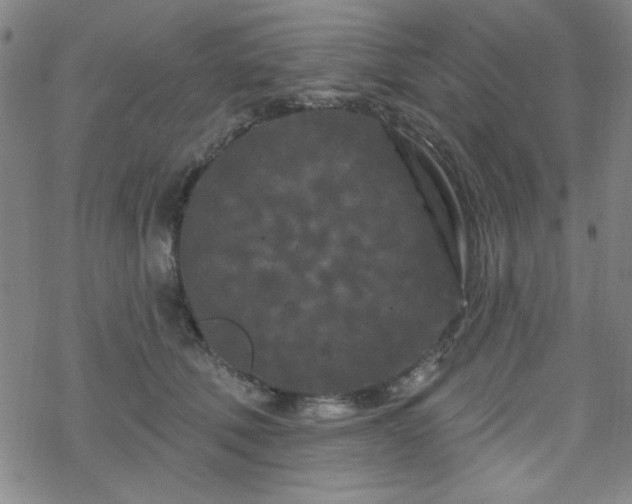 X0000070180610200606021034