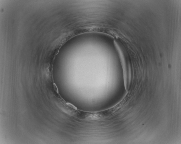 X0000070180611200606021034